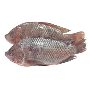 Mojarra Plateada X 500 g