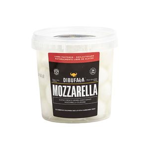 Queso Dibufala mozzarella ciliegine x34 unds x880g