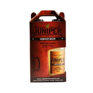 Bebida Juniper carbonatada Ginger beer x 4 botellas x 200 ml c-u