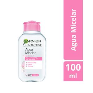 Agua micelar garnier skinactive todo en 1 x100ml